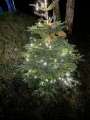 A-IMG_1211